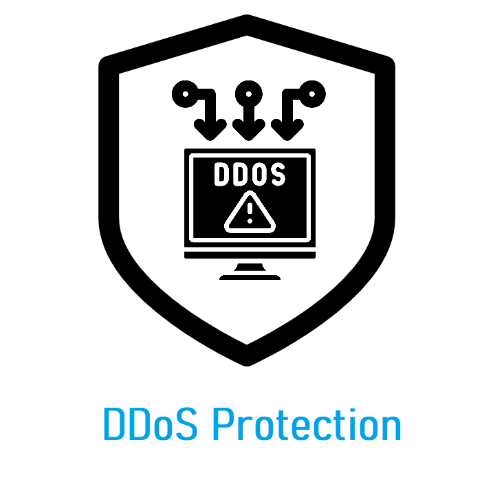 DDoS Protection.